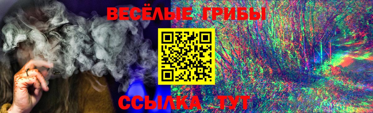 Нововоронеж  Псилоцибиновые грибы прущие грибы  Вход с VPN 